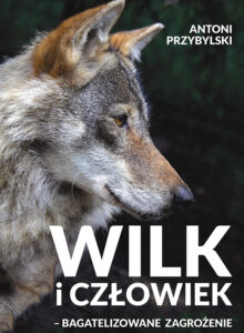Wilk i człowiek